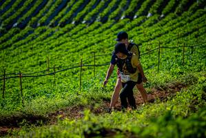 BIB: 1663
                            <button type="button" onclick="openModal(19161013)" class="btn btn-primary btn-sm float-right btn-popup" data-toggle="modal" data-target=".modal-high-quality">
                        <i class="fas fa-shopping-cart"></i> Add to Cart
                    </button>
                                            <button type="button" onclick="isThisMe(19161013, true)" class="btn btn-success btn-sm float-right btn-popup btn-isme hidden" data-toggle="tooltip" data-placement="bottom" title="นี่คือรูปของคุณใช่ไหม คลิกที่นี่เพื่อเอาเข้าอัลบั้ม">
                        <i class="fas fa-plus"></i> Add to album
                    </button>
                    <button type="button" onclick="isThisMe(19161013, false)" class="btn btn-warning btn-sm float-right btn-popup btn-isnotme hidden">
                        <i class="fas fa-ban"></i> Remove from album
                    </button>